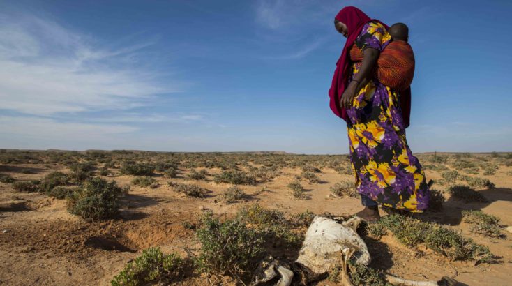 Villagers walking pass the remains of a dead goat as a result of several poor rainy seasons over the past four years.Location: Somalia
February 2017